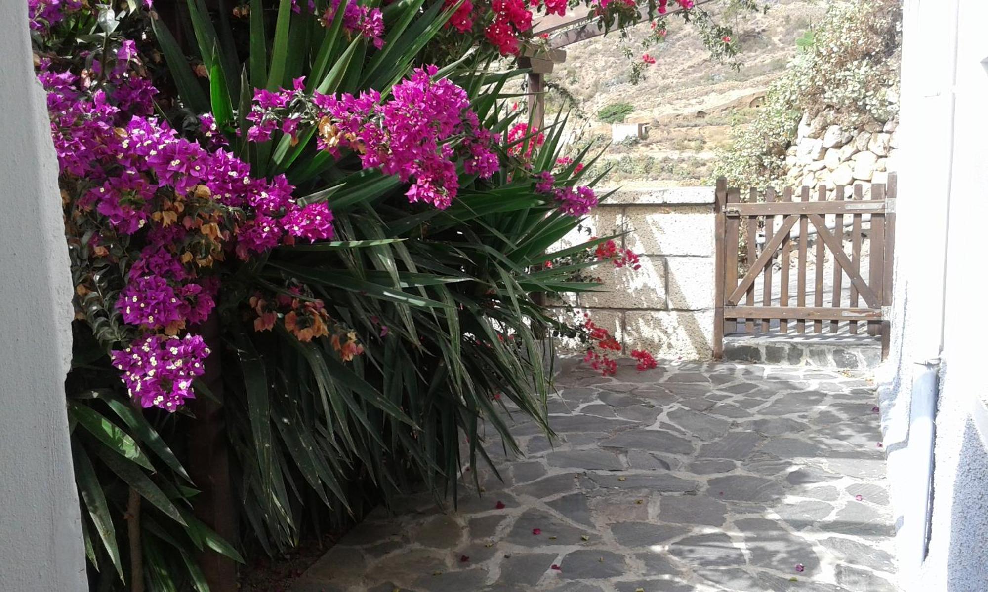 Casapancho 1 Y 2 - Casa Rural - Fasnia - Tenerife Pokoj fotografie